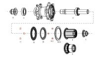 11.2018.035.001 - ZIPP MAGNET SET FOR CLUTCH REAR COGNITION NSW Množ. Uni