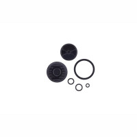 11.5018.020.004 - SRAM CALIPER PISTON KIT 2 PISTON 21MMLVL TL/T Množ. Uni