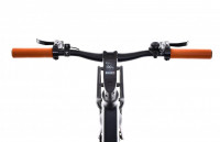 Mestský elektrický bicykel Capriolo Belt drive