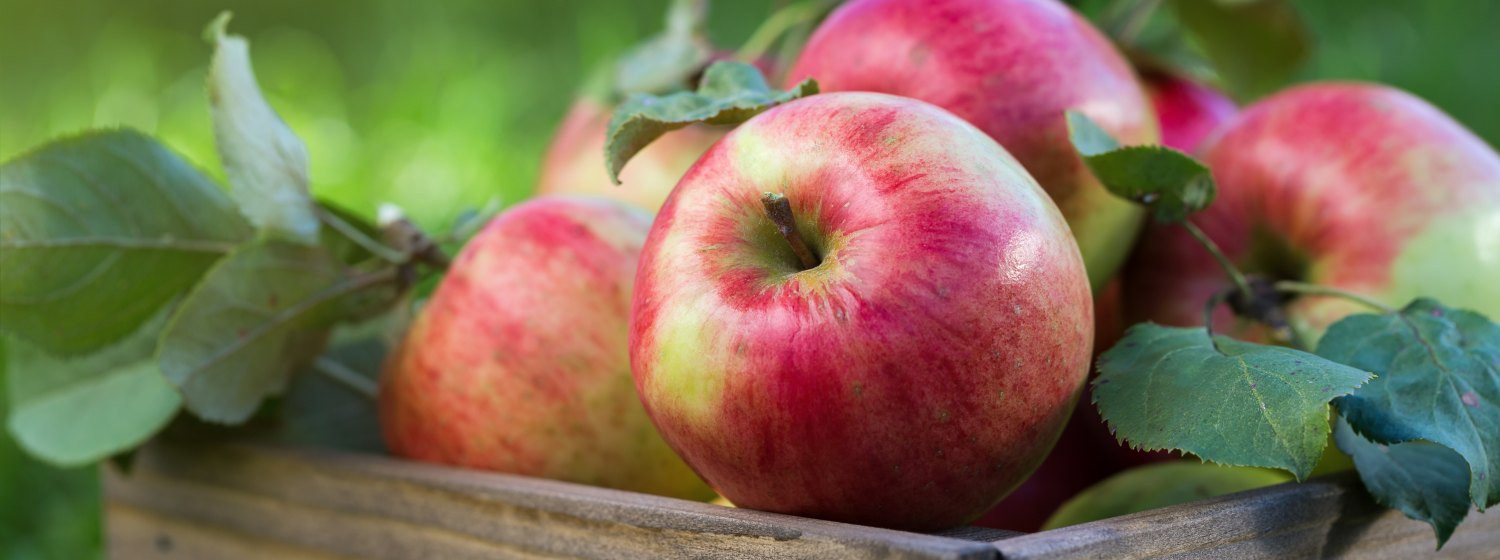 Jablká plné chuti a výživy