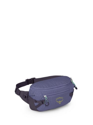 OSPREY LEDVINKA TRANSPORTER WAIST PACK EUPHORIA PURPLE (10006531) Množ. Uni