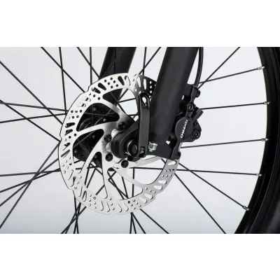 GHOST Lanao 24 Full Party Black/Metallic Purple Gloss