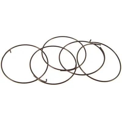 Pružinky FULCRUM, pre cestné Fulcrum a Campagnolo orechy