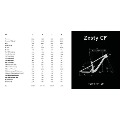 LAPIERRE Zesty CF 8.9 Anthra Grey