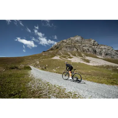 LAPIERRE Pulsium 6.0 Septembre Beige