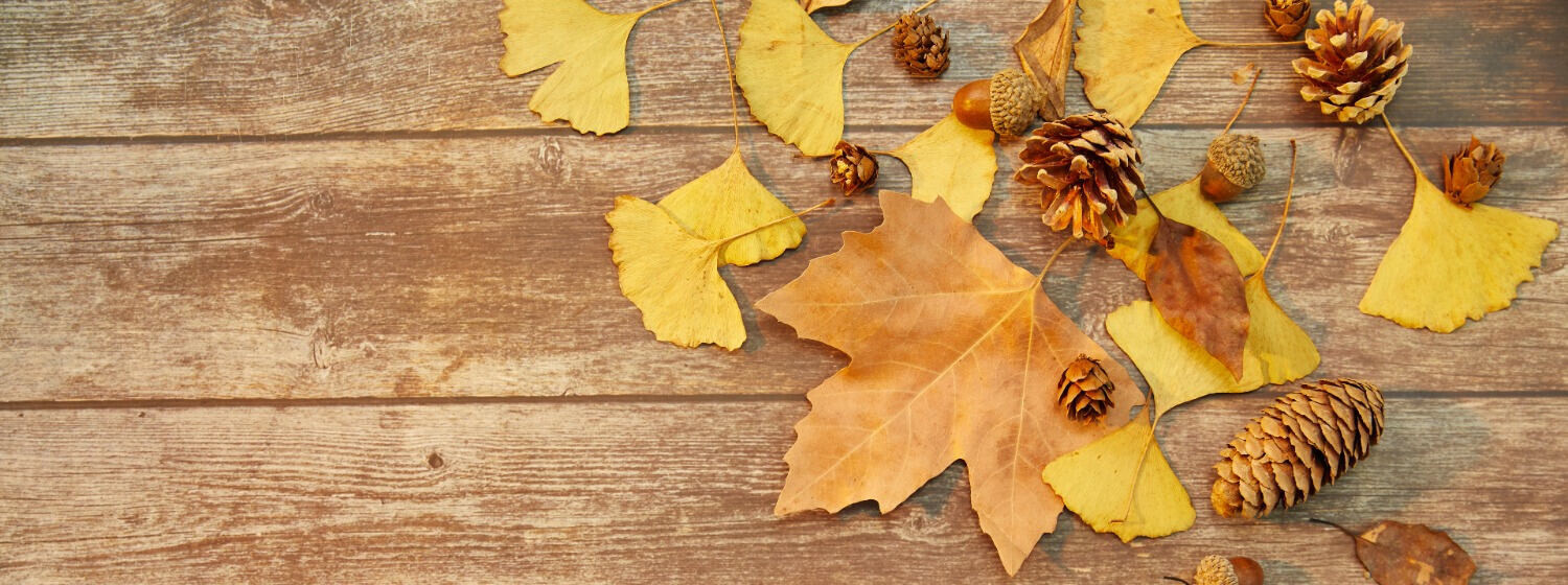 Jak na podzim posílit imunitu