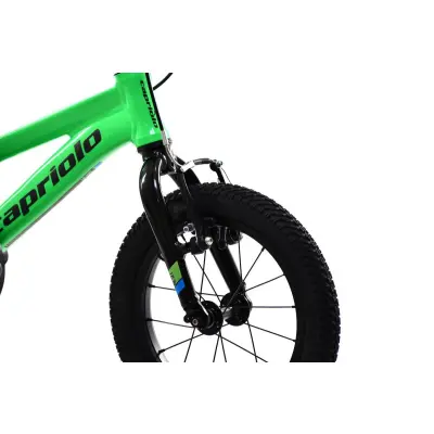 Detský bicykel Capriolo lc kid 14 green