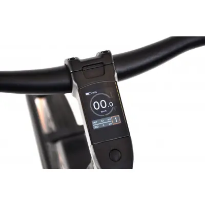 Mestský elektrický bicykel Capriolo Belt drive