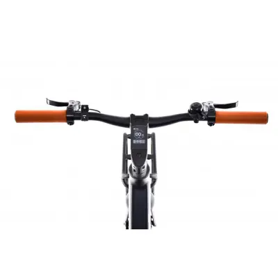 Mestský elektrický bicykel Capriolo Belt drive