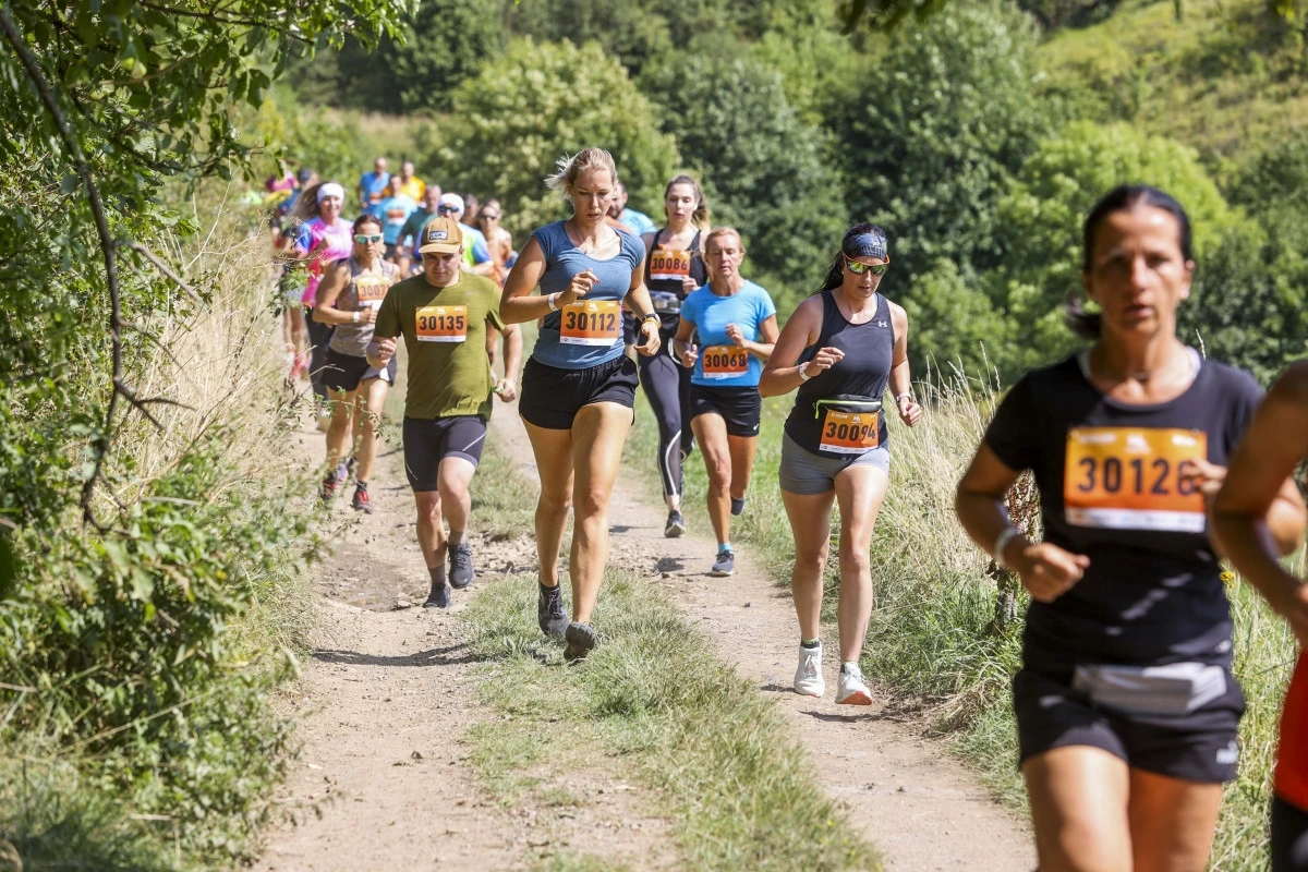 Behaj lesmi Štiavnické vrchy 2022