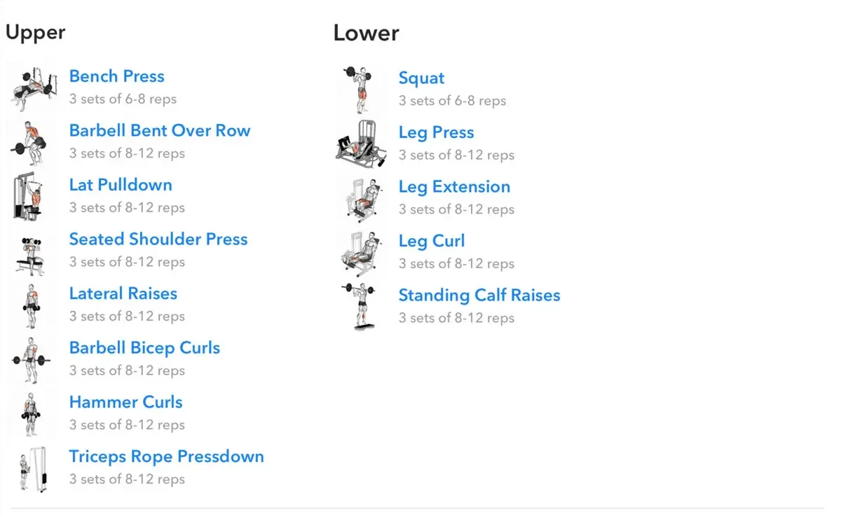 Tréningový plán na vrch a spodok tela
