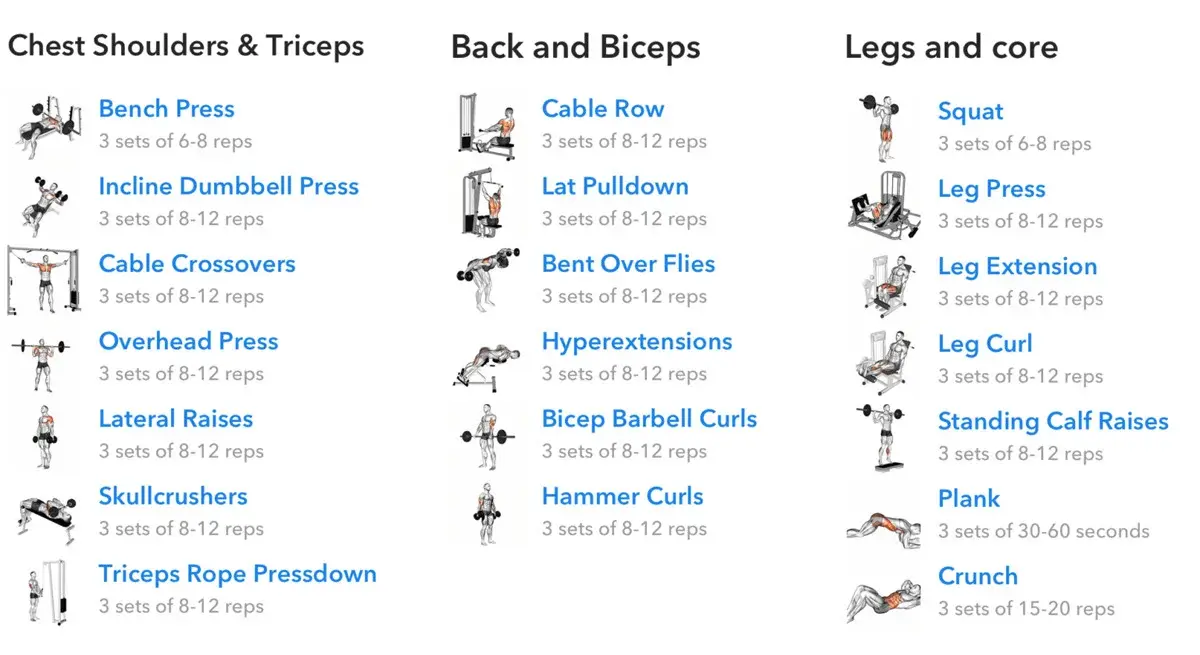 Cviky pro nabírání svalů