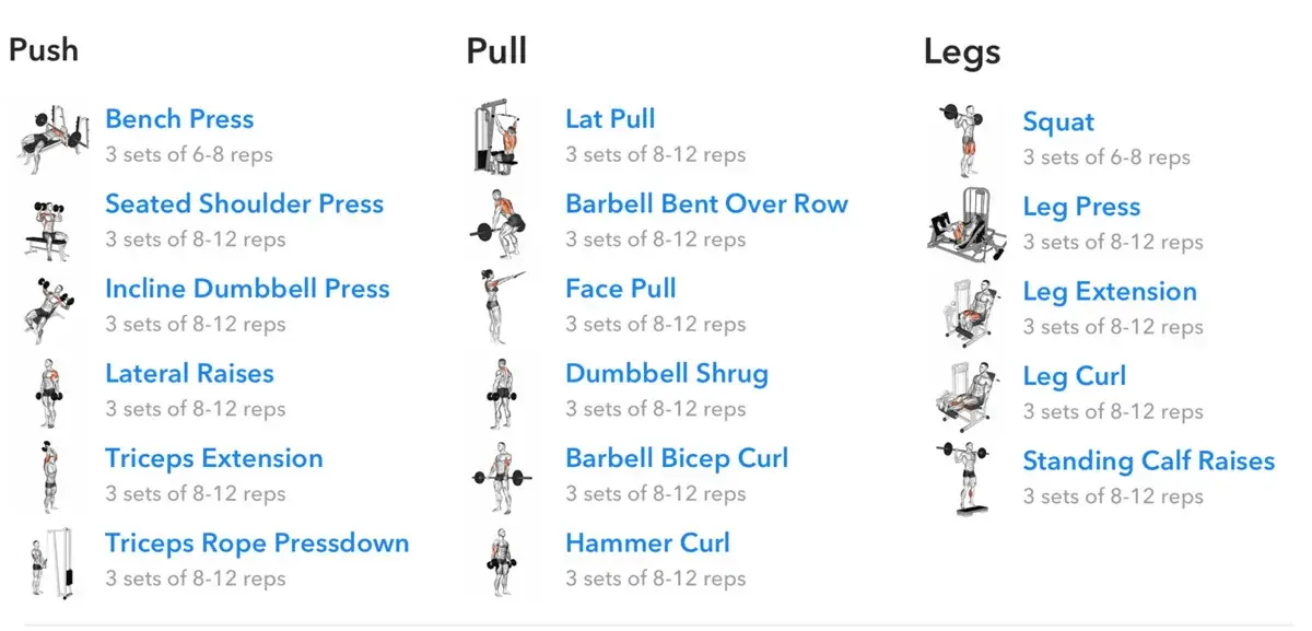 Push a pull workout