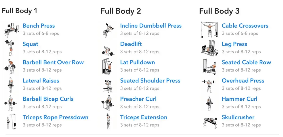 Tréninkový plán pro celé tělo