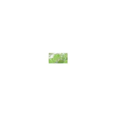 TOPO Germany v9 PRO, microSD™/SD™