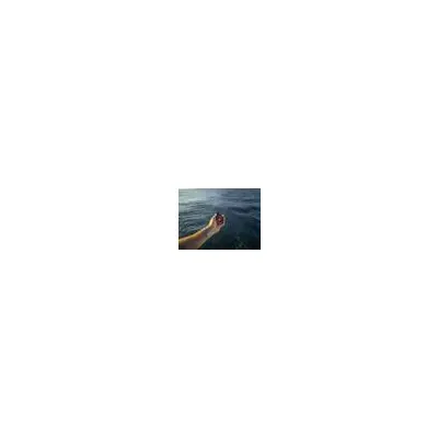 inReach Mini 2 Marine Bundle, Flame Red
