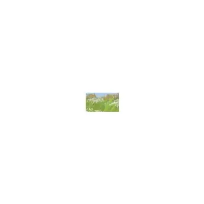 TOPO mapa - TOPO Alps PRO, Voucher