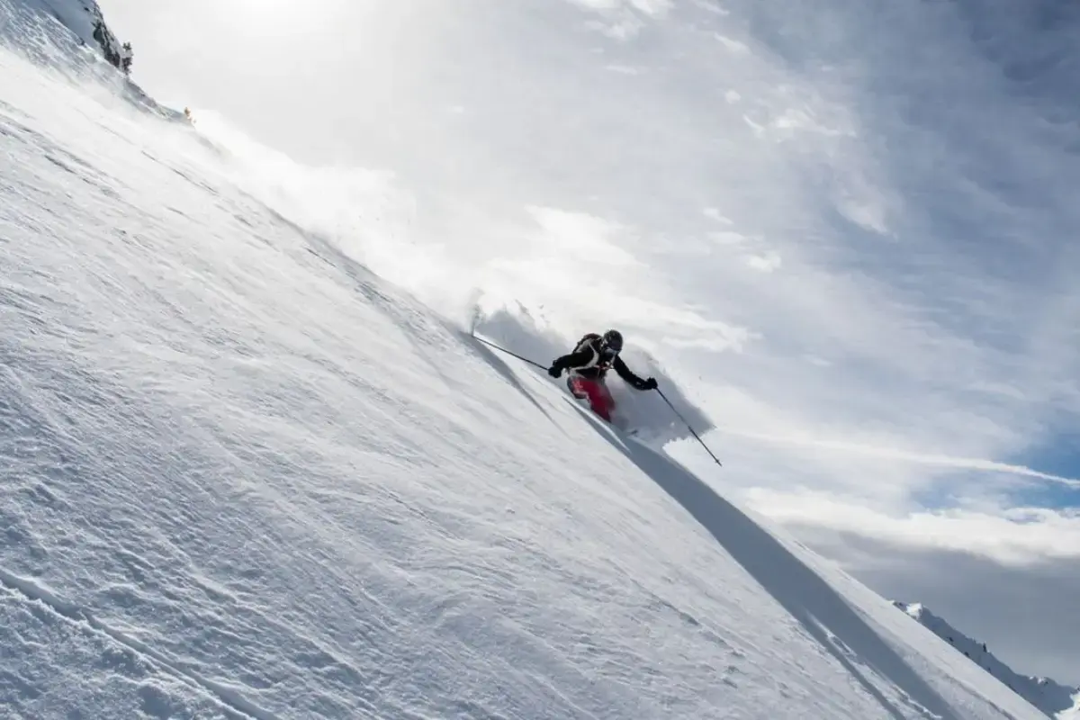 Softshellové skialpové nohavice