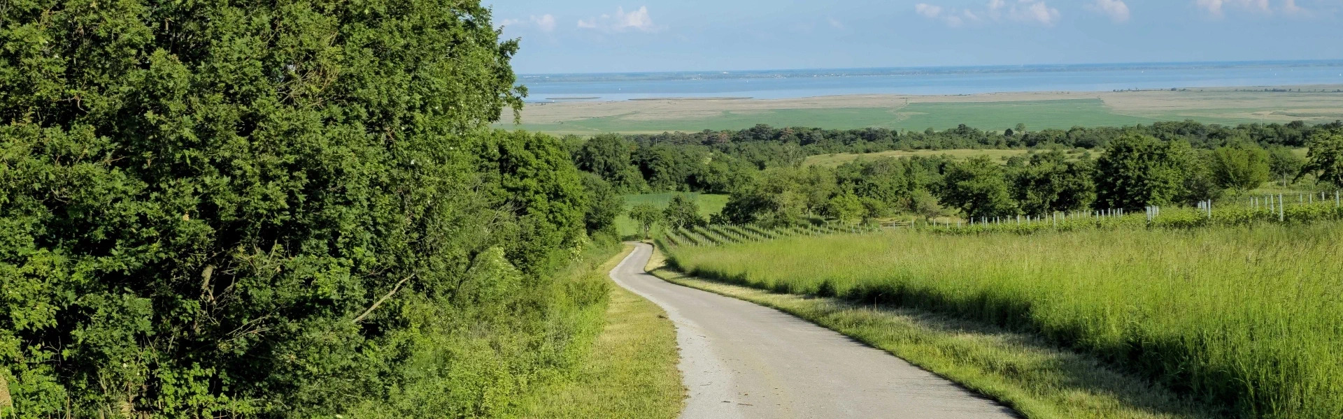 Výlet na bicykli okolo Neusiedler See