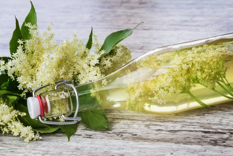 Recept na bazový sirup